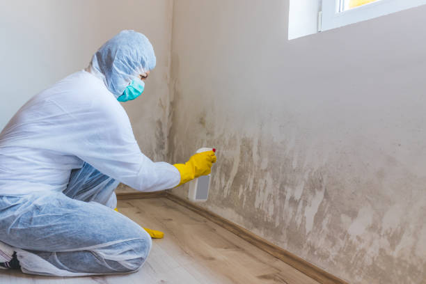 Licensed Bathroom Mold Removal service in Clarksville, TN - 24 Hour Mold Removal