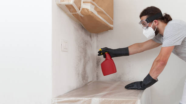 Professional Bathroom Mold Removal technician working in Clarksville, TN