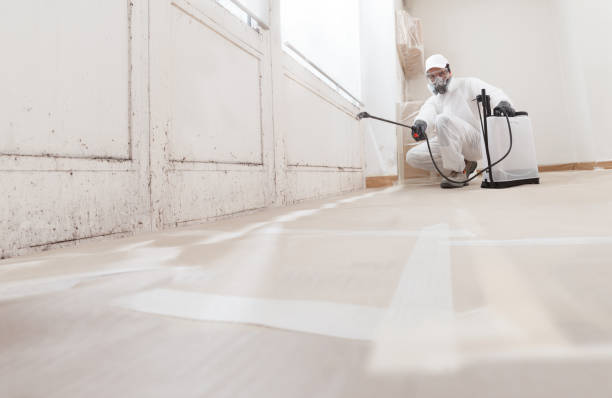 24/7 Emergency Bathroom Mold Removal experts in Clarksville, TN