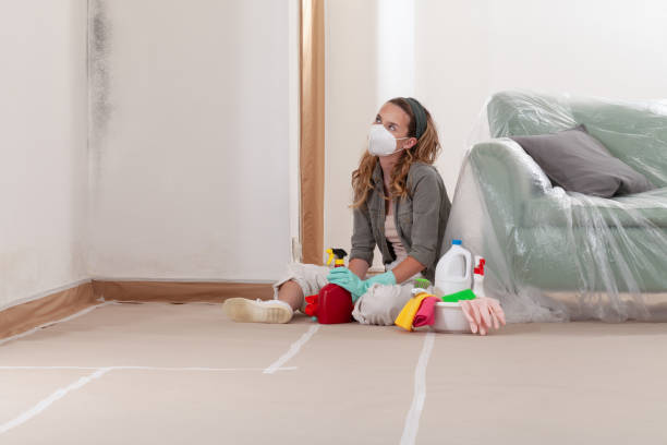 Reliable Bathroom Mold Removal contractor in Clarksville, TN by 24 Hour Mold Removal