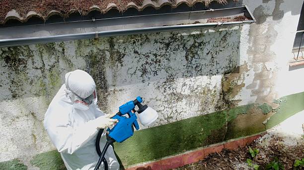Top rated local Bathroom Mold Removal specialists in Clarksville, TN